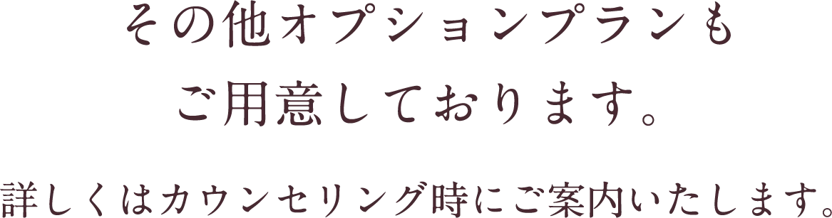 その他のオプションプランもご用意しております。